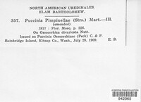 Puccinia pimpinellae image